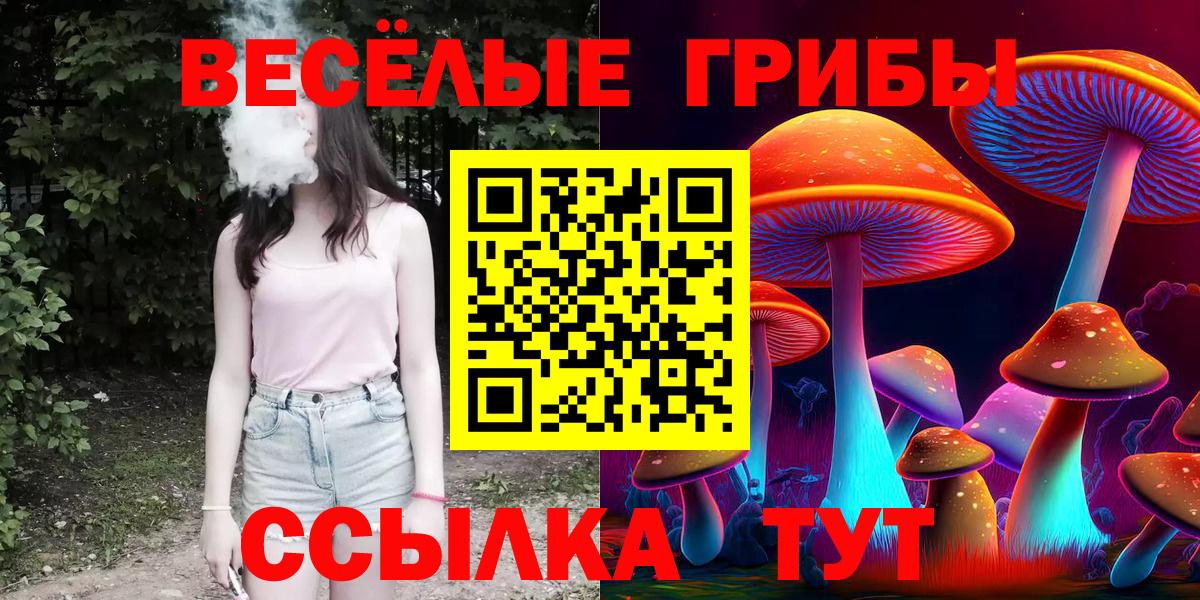 Галлюциногенные грибы Psilocybe Кострома